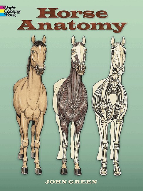 John Green - Horse Anatomy Coloring Book, Häftad