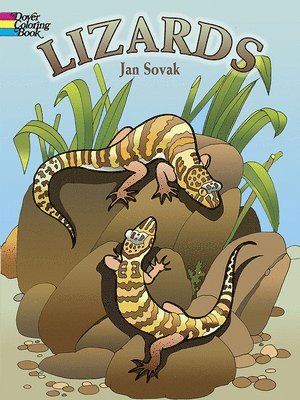 Jan Sovak - Lizards. Tillgänglighet: Lägg i varukorg