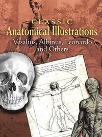 Classic Anatomical Illustrations