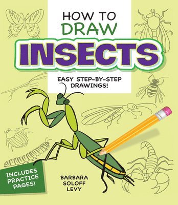 Barbara Soloff Levy - How to Draw Insects, Häftad
