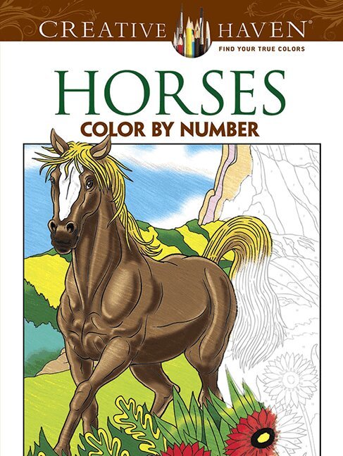 George Toufexis - Creative Haven Horses Color By Number Coloring Book, Häftad. Tillgänglighet: Lägg i varukorg