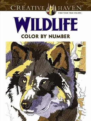 Diego Pereira - Creative Haven Wildlife Color by Number Coloring Book, Häftad. Tillgänglighet: Lägg i varukorg