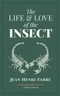 Life and Love of the Insect