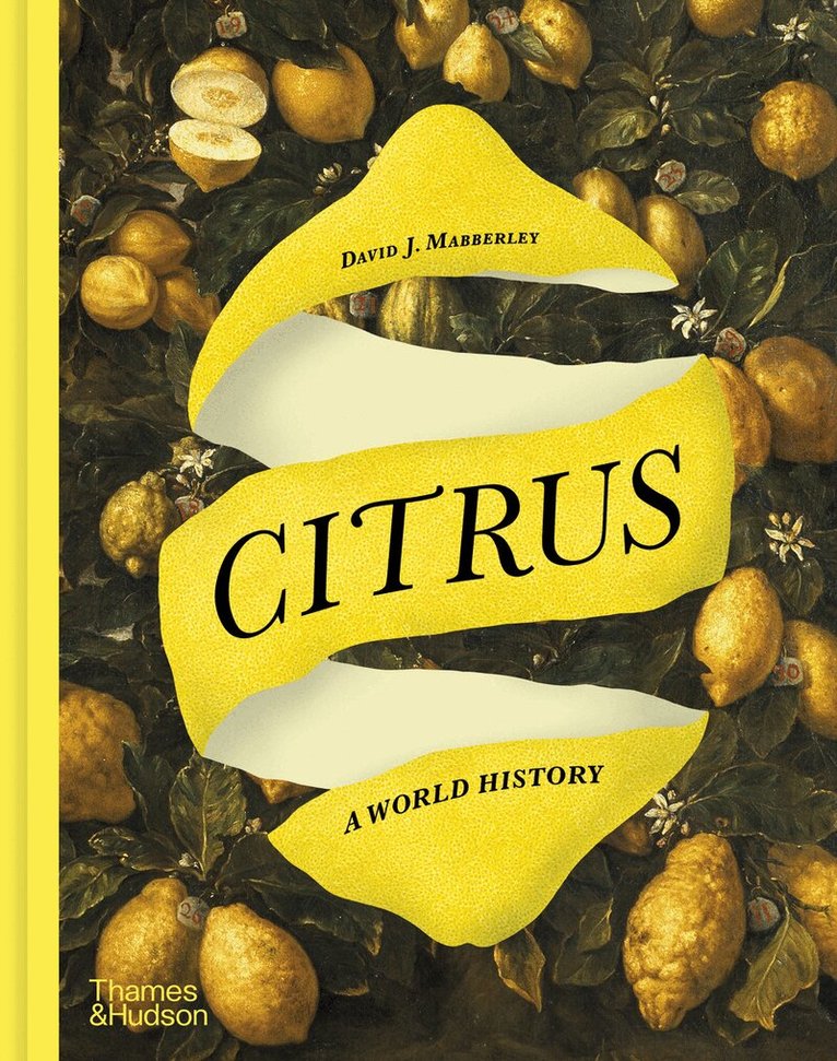 David J. Mabberley - Citrus, Inbunden