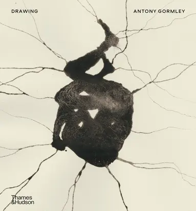Drawing: Antony Gormley