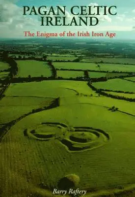 Barry Raftery - Pagan Celtic Ireland, Häftad. Tillgänglighet: Tillfälligt slut