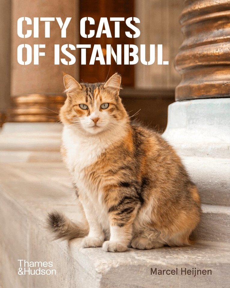 Marcel Heijnen - City Cats of Istanbul, Häftad