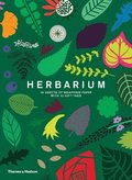 Herbarium: Gift Wrapping Paper Book