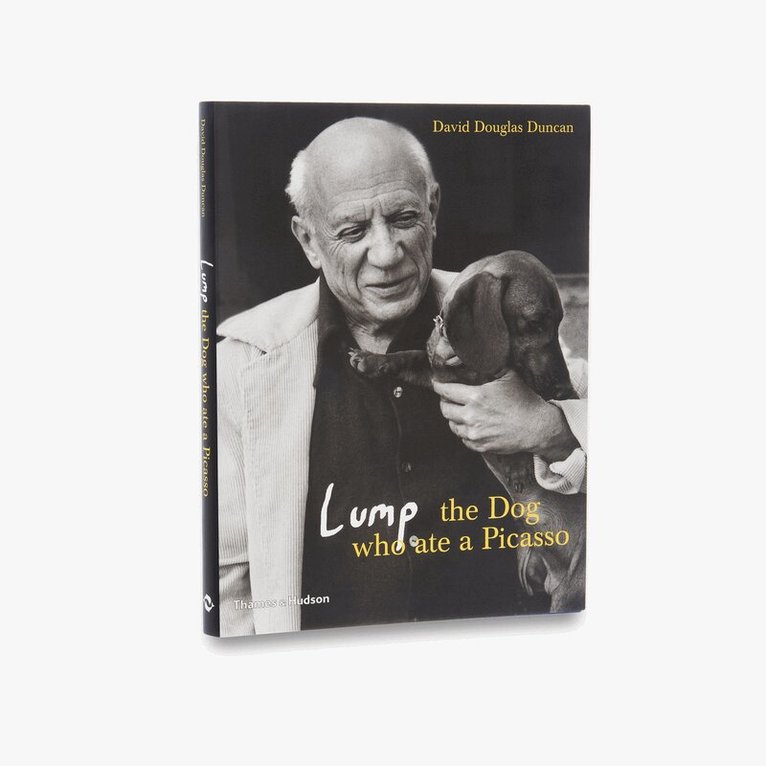 Lump: The Dog who ate a Picasso
