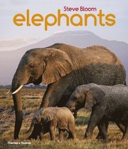 Elephants