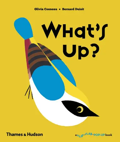 Olivia Cosneau, Bernard Duisit - What's Up?, Inbunden