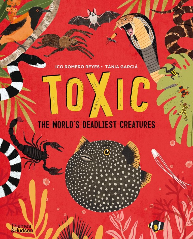 Ico Romero Reyes, Tània García - Toxic, Inbunden