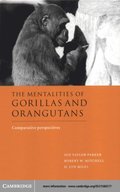 Mentalities of Gorillas and Orangutans