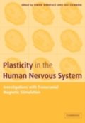 Plasticity in the Human Nervous System