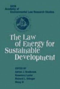 Law of Energy for Sustainable Development