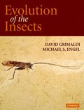 Evolution of the Insects