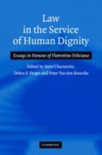 Law in the Service of Human Dignity