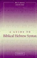 Guide to Biblical Hebrew Syntax