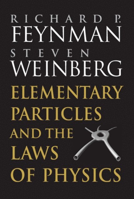 Steven Weinberg, Richard P. Feynman - Elementary Particles and the Laws of Physics, E-bok