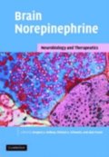 Brain Norepinephrine