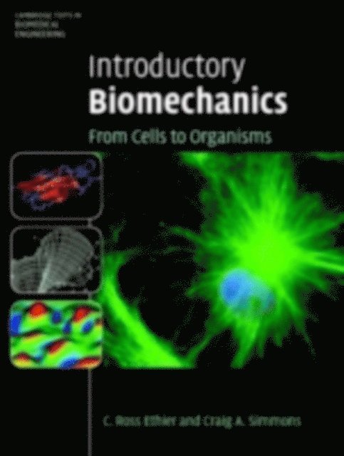 Craig A. Simmons, C. Ross Ethier - Introductory Biomechanics, E-bok
