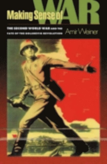 Nicola Baker, Alan Stephens - Making Sense of War, E-bok
