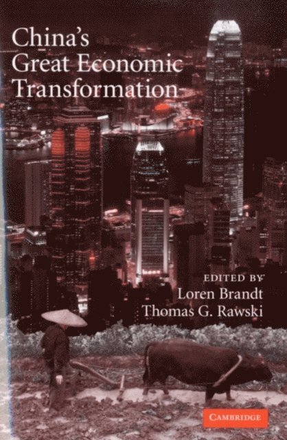 Thomas G. Rawski, Loren Brandt - China's Great Economic Transformation, E-bok