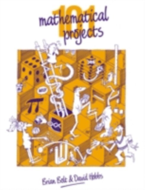 David Hobbs, Brian Bolt - 101 Mathematical Projects, E-bok