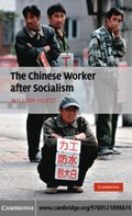 Chinese Worker after Socialism