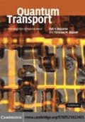 Quantum Transport