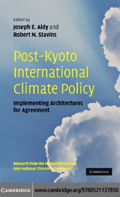 Robert N. Stavins, Joseph E. Aldy - Post-Kyoto International Climate Policy, E-bok
