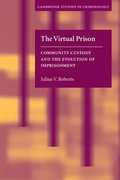 Virtual Prison