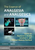 Essence of Analgesia and Analgesics