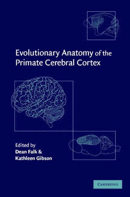 Kathleen R. Gibson, Dean Falk - Evolutionary Anatomy of the Primate Cerebral Cortex, E-bok