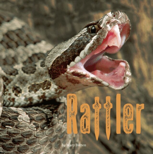 Mary Batten - Rattler, E-bok