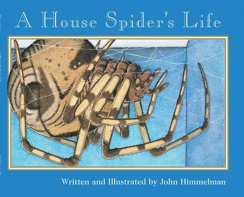 John Himmelman - A House Spider's Life (Nature Upclose), Häftad. Tillgänglighet: Tillfälligt slut