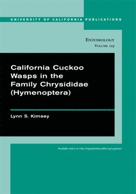 Lynn S. Kimsey - California Cuckoo Wasps in the Family Chrysididae (Hymenoptera), Häftad