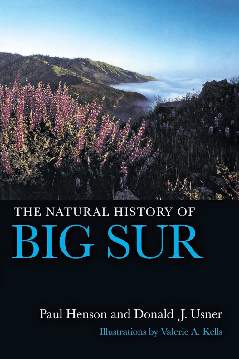 Paul Henson, Donald J. Usner - Natural History of Big Sur, Häftad
