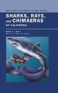 Sharks, Rays, and Chimaeras of California