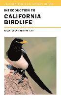 Jules Evens - Introduction to California Birdlife, Häftad. Tillgänglighet: Lägg i varukorg