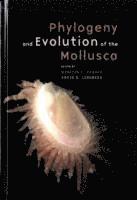Phylogeny and Evolution of the Mollusca