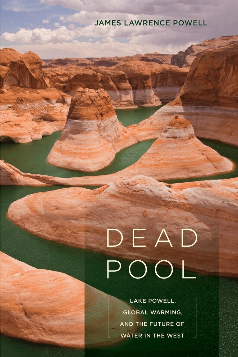 James Lawrence Powell - Dead Pool, Häftad