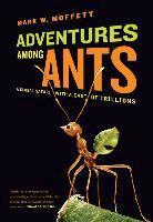 Mark W. Moffett - Adventures among Ants, Häftad