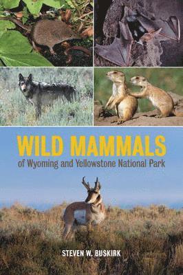 Steven W. Buskirk - Wild Mammals of Wyoming and Yellowstone National Park, Inbunden. Tillgänglighet: Lägg i varukorg