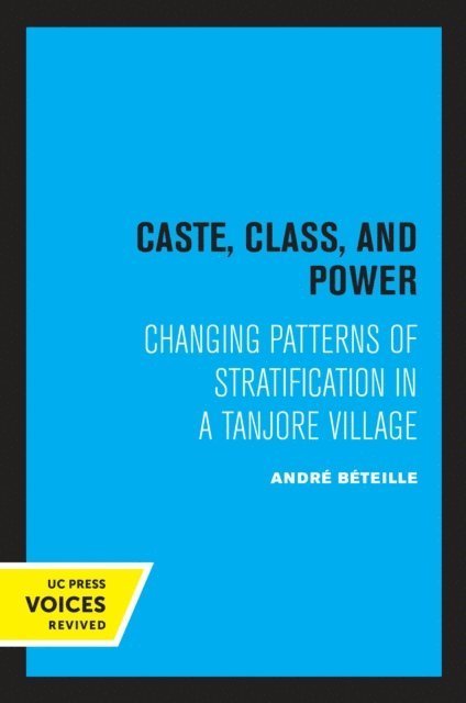 Andre Beteille - Caste, Class, and Power, E-bok