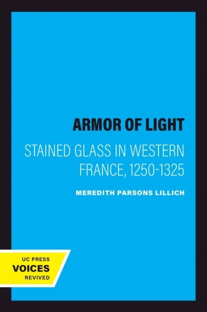 Meredith Parsons Lillich - Armor of Light, E-bok