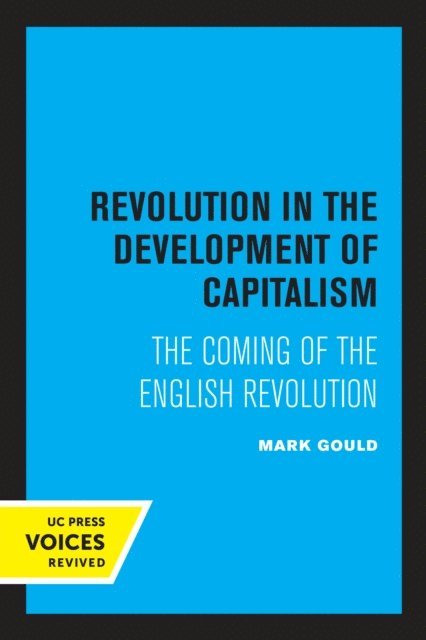 Mark Gould - Revolution in the Development of Capitalism, E-bok