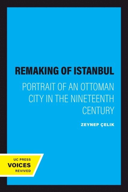 Zeynep Celik - Remaking of Istanbul, E-bok