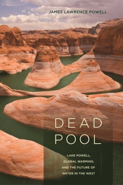 James Lawrence Powell - Dead Pool, E-bok