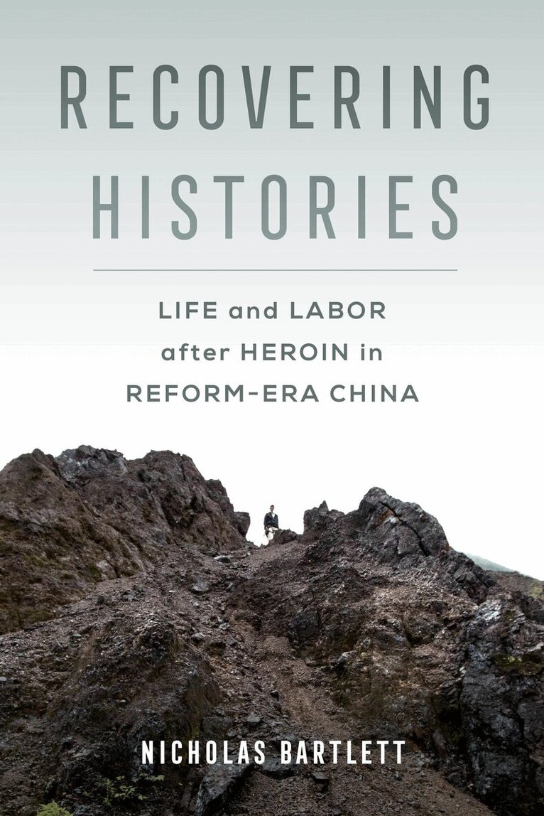 Nicholas Bartlett - Recovering Histories, Häftad